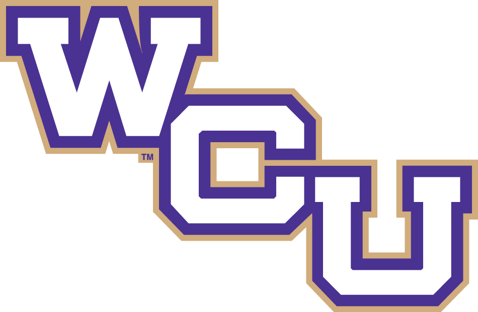 Western Carolina Catamounts 2008-Pres Wordmark Logo t shirts iron on transfers